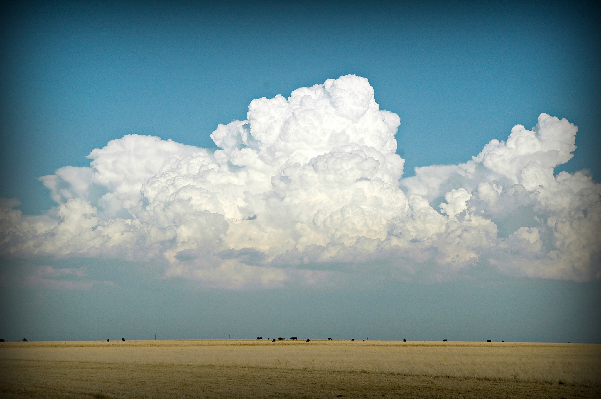 Rural Baca County Skyline